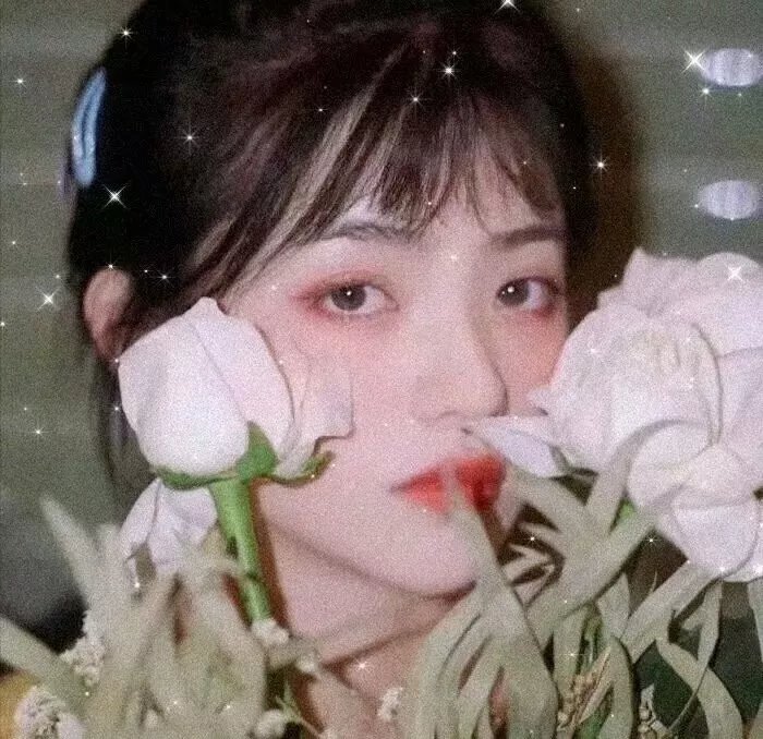 契约之吻